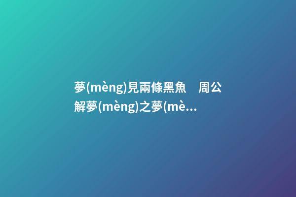 夢(mèng)見兩條黑魚　周公解夢(mèng)之夢(mèng)到兩條黑魚
